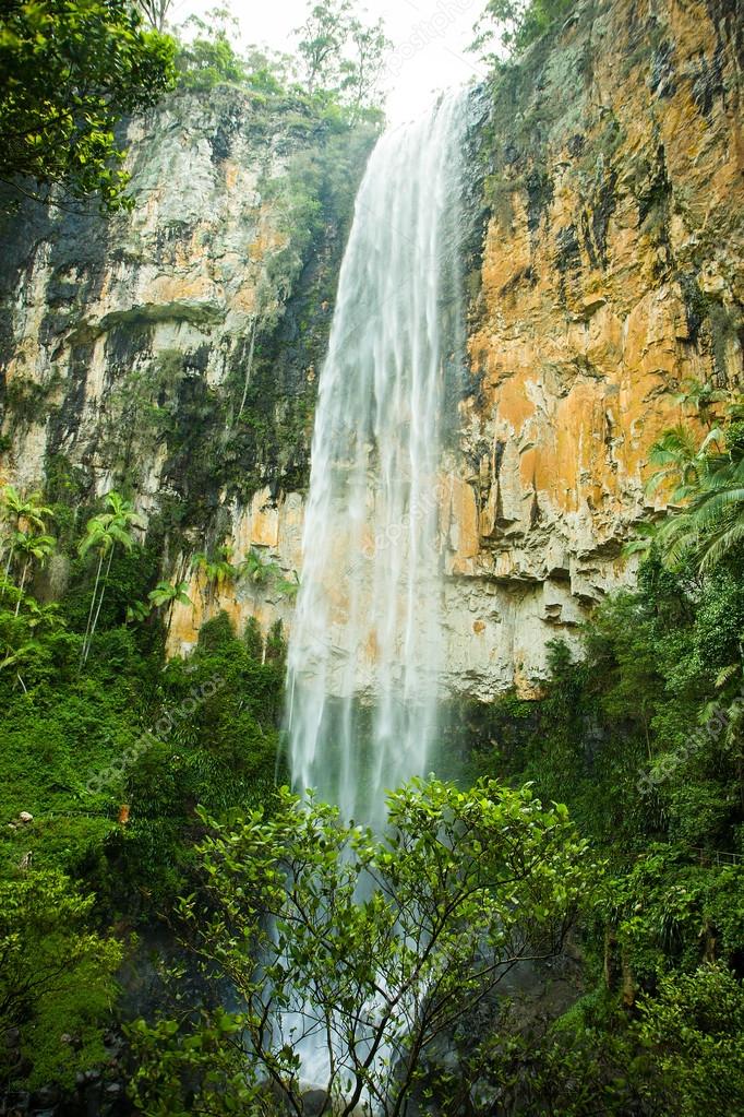 Purlingbrook Falls In Springbrook National Park Gold Coast