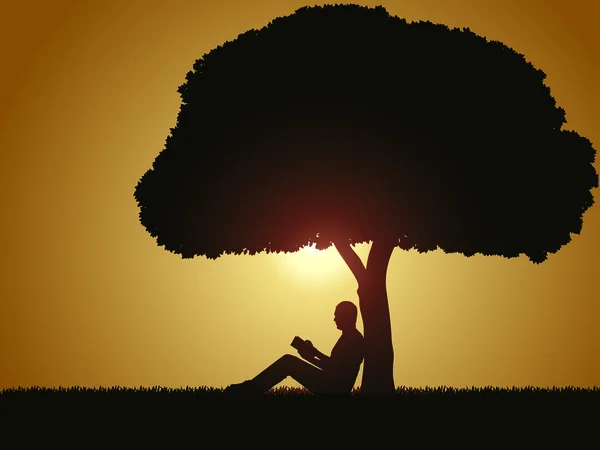 Silhouette - readind kitap bir ağacın altında