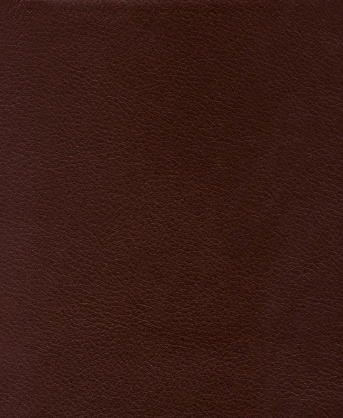 deri dokusu - arka plan