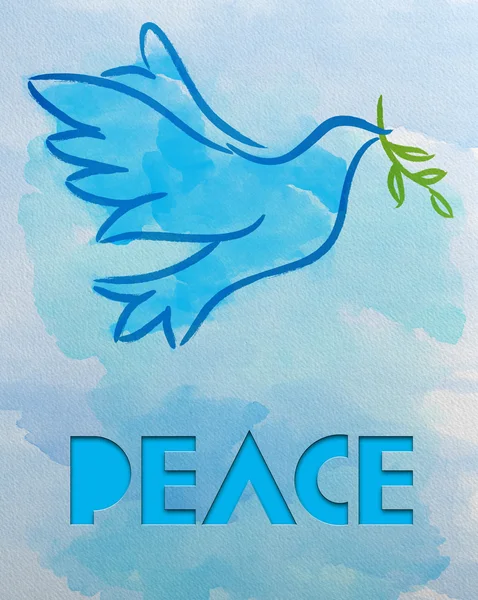 鸽子-和平的象征 — 图库照片#