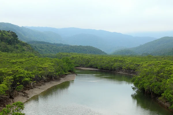 Fiume Shiira e mangrovia nell'isola di Iriomote, Giappone — Foto Stock