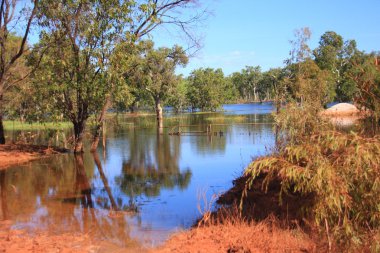 Lakefield Milli Parkı, Kuzey Avustralya