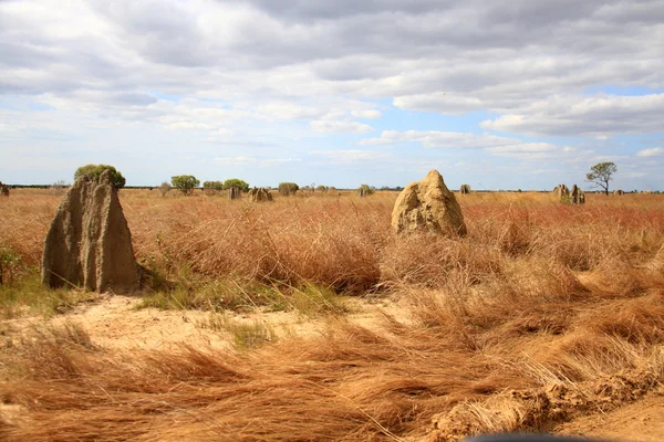 Großer Ameisenhaufen im Lake Field Nationalpark, Nordaustralien — Stockfoto