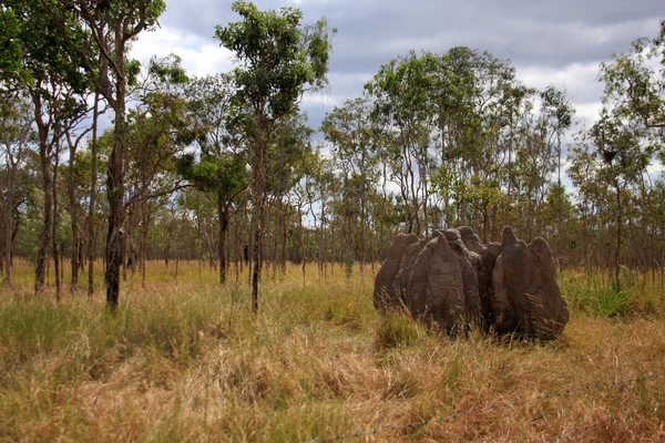 Lakefield National Park,North Australia — Stock Photo, Image