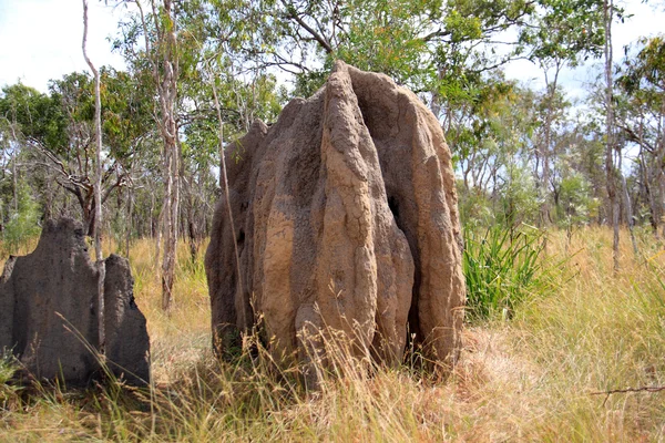 Big anthill in Lakefield National Park,North Australia — Stock Photo, Image