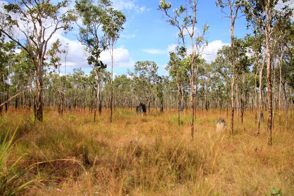 Lakefield National Park,North Australia — Stock Photo, Image