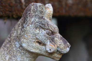 taş oyma koruyucu köpek, Japonya