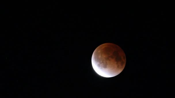 Lunar eclipse in Japan, Dec 2013 — Stock Video