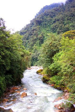 Andes dağ nehir akarsu Ekvador