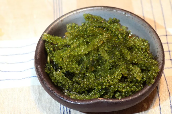 Uvas marinas (Caulerpa lentillifera) en Japón — Foto de Stock
