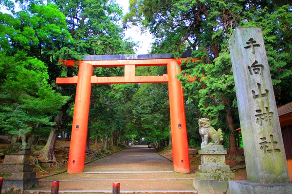 Toriia воротами біля входу в храм — Stockfoto