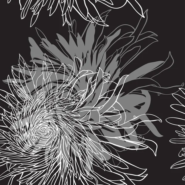 Сhrysanthemum — Stock Vector