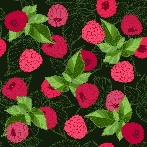 Raspberry background — Stock Vector