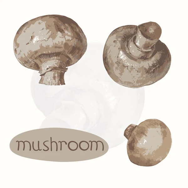 Mushroom . The isolated vector — Stock Vector