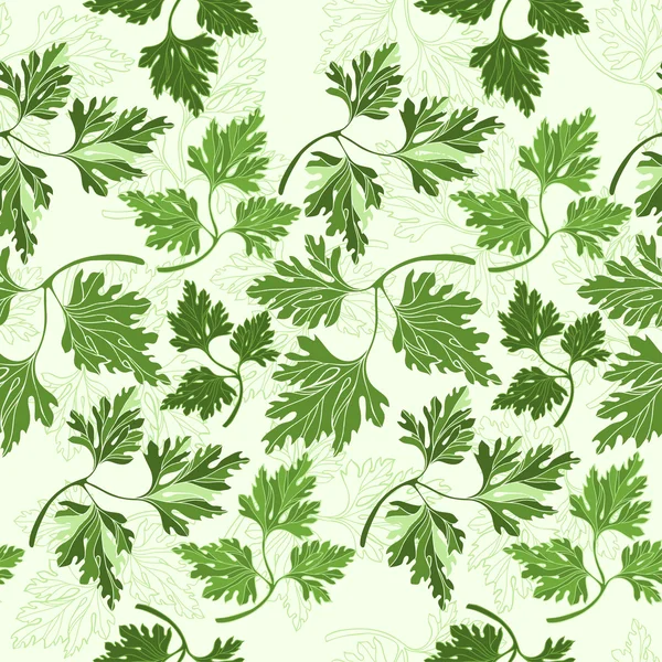 Seamless pattern with parsley — Stock Vector