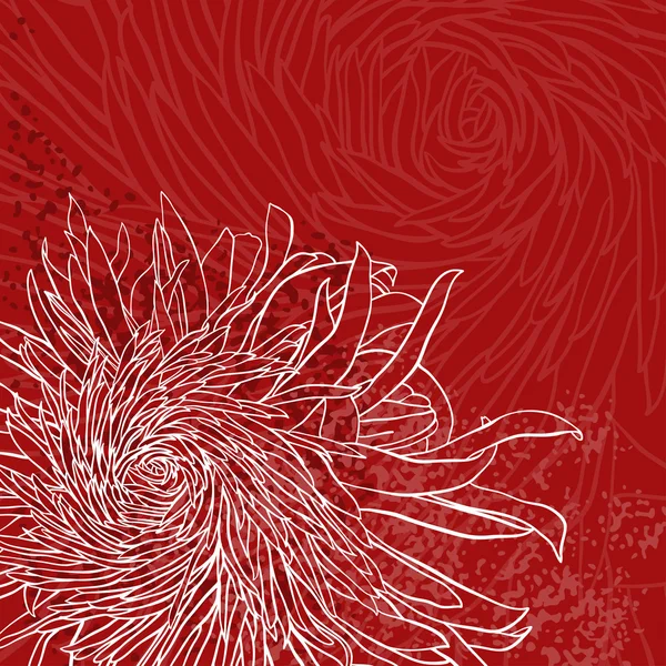 Приглашение или открытка с хризантемой — стоковый вектор