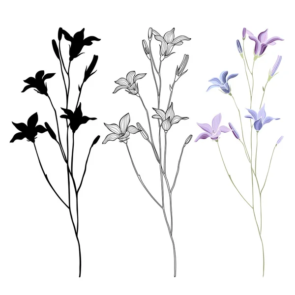 Conjunto vetorial de flor de sino sobre um fundo branco — Vetor de Stock