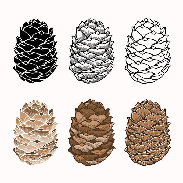 Vector set of pine cones on a white background — Stock Vector