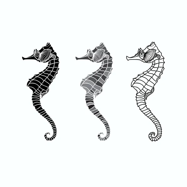 Vector set of seahorse on a white background — Stock Vector