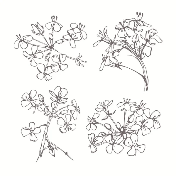 Conjunto de flores monocromas — Vector de stock