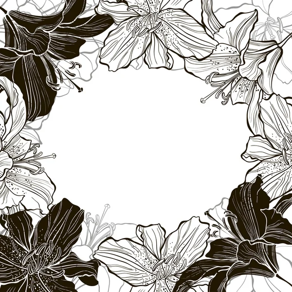 Cadre monochrome floral avec lis . — Image vectorielle