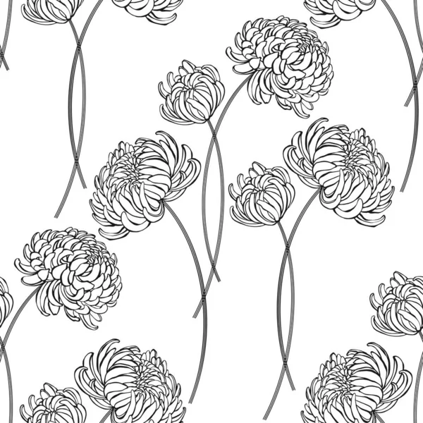 Floral Background Chrysanthemum Flowers Hand Drawn Vector Illustration — Stock Vector