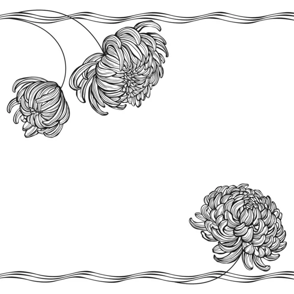 Krysantemum Blommor Vit Bakgrund Vektorillustration Med Plats För Text Inbjudan — Stock vektor