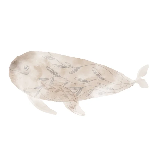 Adorable Sea Animal Whale Watercolor Isolated Illustration White Perfect Design — стоковое фото