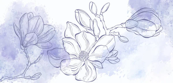 Diseño Pre Confeccionado Con Flores Magnolia Salpicadura Acuarela Muy Peri — Vector de stock