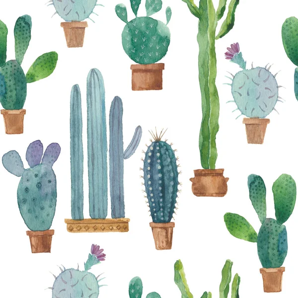 Stylish Cactus Background White Watercolor — Stock Photo, Image