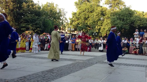 Folkloric dance groups — Stock Photo, Image