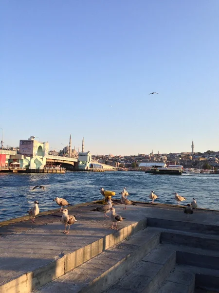İstanbul siluet with sea — Stockfoto