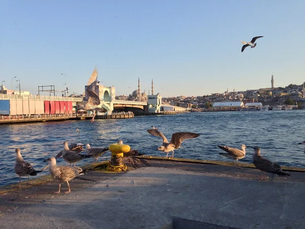 İstanbul siluet with sea — Stock fotografie