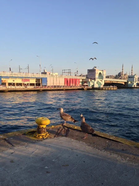 Jalá siluet de Estambul con mar — Foto de Stock