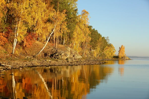 Herbstwald am See — Stockfoto