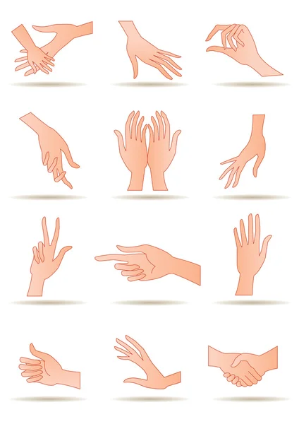 Mãos humanas em posições diferentes — Vetor de Stock