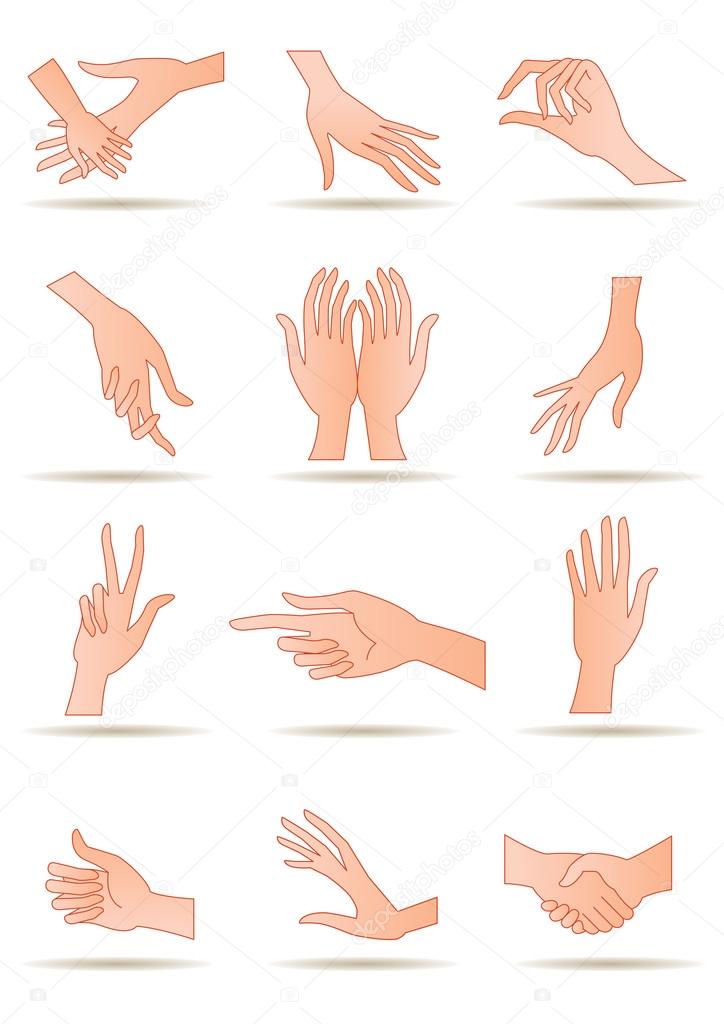 Human's hands in different positions