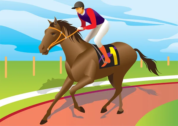 Jockey reitet auf einem braunen Pferd — Stockvektor