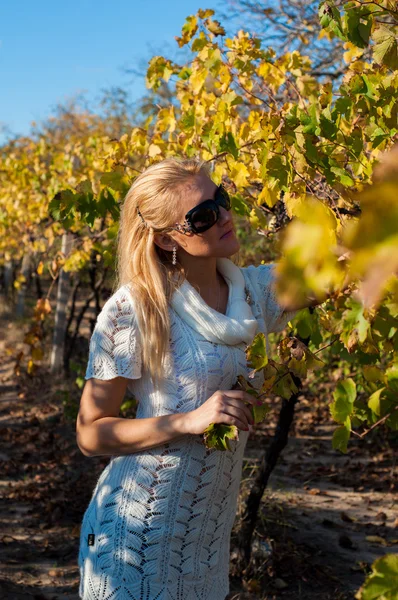 vineyard kız