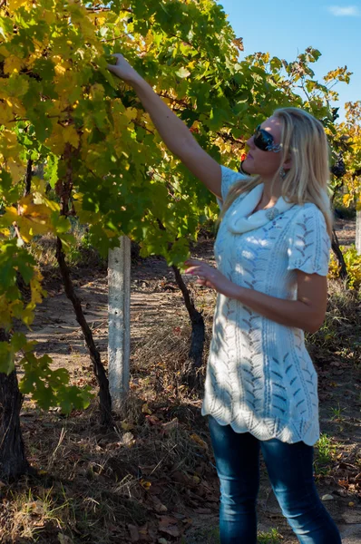 vineyard kız
