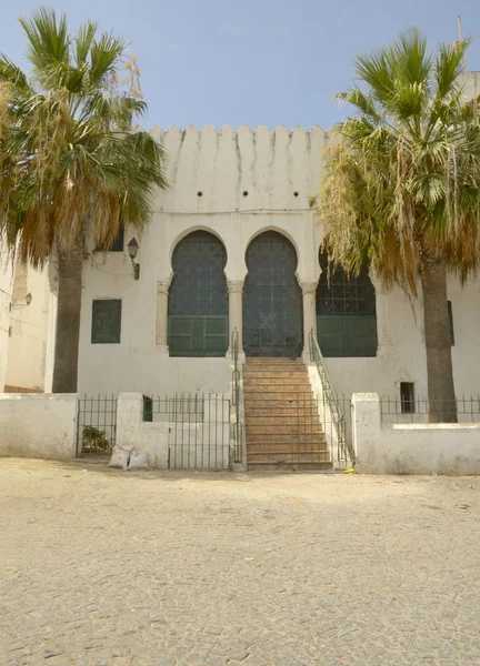 Mangueira velha no Kasbah — Fotografia de Stock