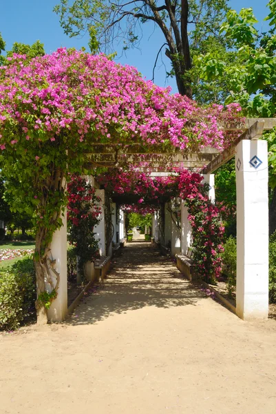 Galería de jardín — Foto de Stock