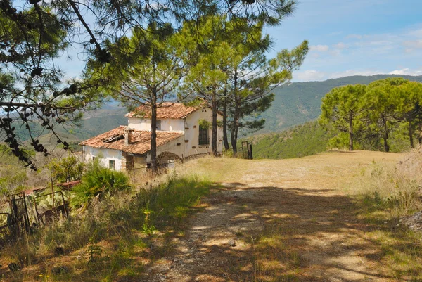 kırsal yazlık