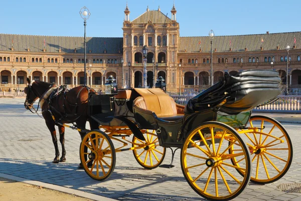 Entrenador de caballos en la Plaza España — Foto de Stock