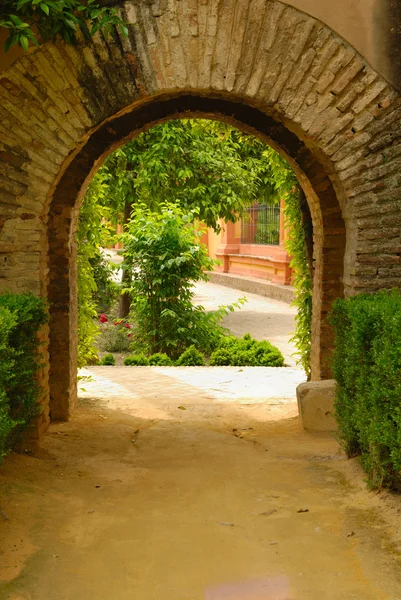 Gartenbogen — Stockfoto