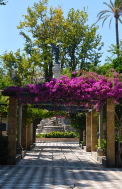 dekore edilmiş Bahçe cadiz