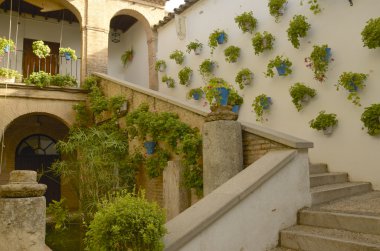 tipik cordoba veranda