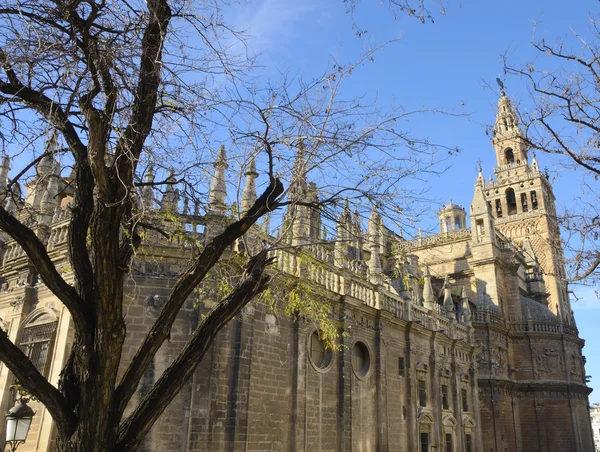 Kathedrale von Sevilla — Stockfoto