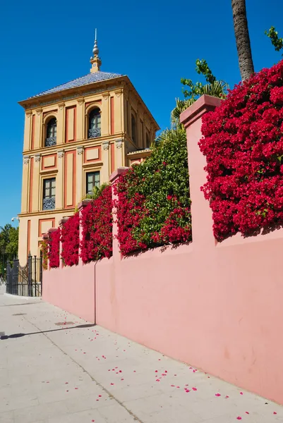 Mauer heiliger Telmo-Palast — Stockfoto