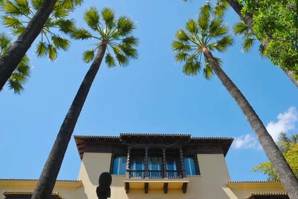 Palmen balkon — Stockfoto